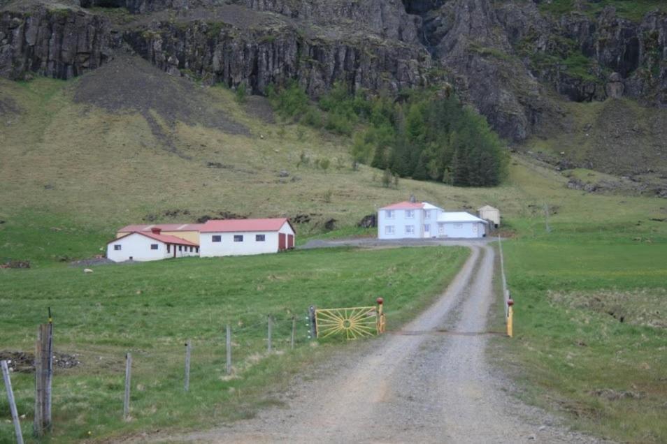 Guesthouse Stekkatun Skálafell Exterior photo